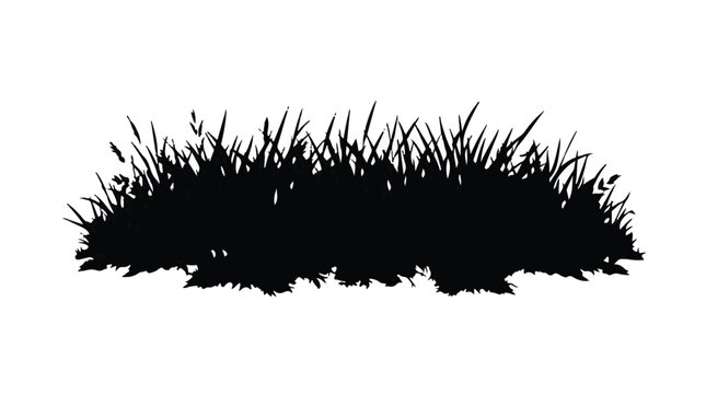 Cad tree lines Black grass silhouette set. Vector patch of leaves detail. Nature border shape outline. Dark meadow plant profile. Garden weed illustration. Scenic contour. Landscape element.