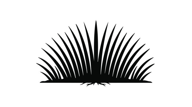 Cad tree lines Fern leaf silhouette vector set, botanical illustration clip art elements, black and white nature design graphic for tattoos, backgrounds and stamps, botanical vactor