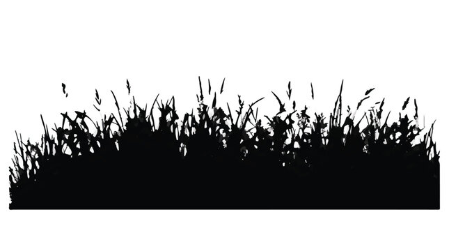 Cad tree lines Black grass silhouette set, decorative grass clump borders with white background, botanical silhouettes, wild foliage shapes and turf graphics for design vactor