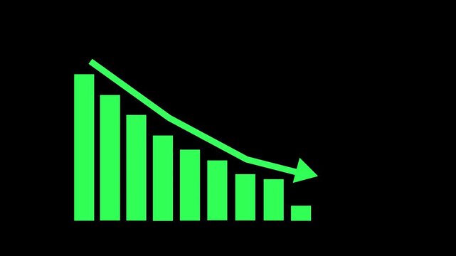 Financial Report Presentation Animation with Business Growth Visualization
