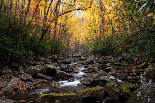 autumn foliage, great smoky mountains, tennessee