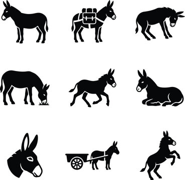 Set of black donkey icons showing different poses and daily activities