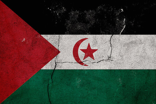 Western Sahara Flag on Distressed Cracked Wall Representing National Identity Conflict History and Political Struggle