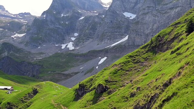 Lush summer pasture and rocky mountain slopes with lingering snow in the Swiss Alps near Axalp.