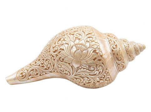 Ornate carved conch shell isolated on transparent background