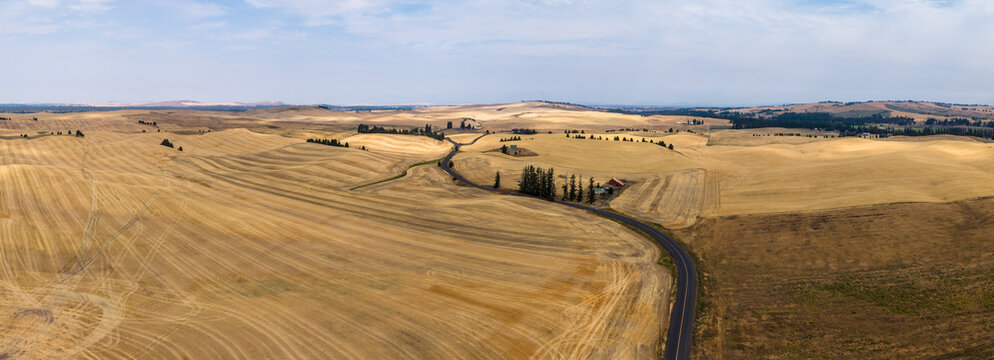Aerial view of the golden wheat fields in Cheney, Washington, United States.
