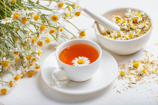 White cup of hot chamomile tea, a mortar with dry daisies buds and a bouquet of Matricaria chamomilla on concrete background. Herbal drink, healthy lifestyle concept.