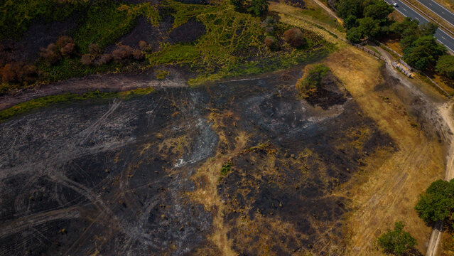 Aerial view of New Forest National Park showing the A31 wildfire burn scar with charred vegetation, scorched earth, and nearby road infrastructure in New Forest District, England, United Kingdom.