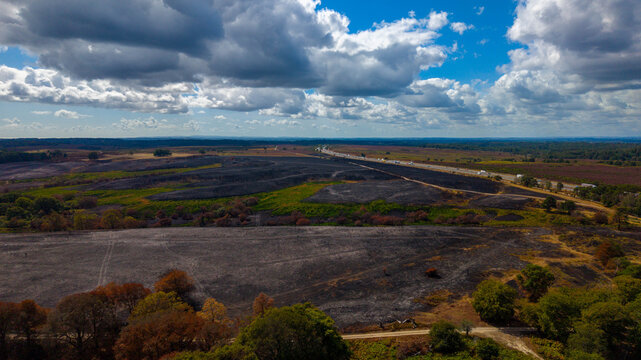 Aerial view of the wildfire burn scar in New Forest National Park with charred land contrasting against green vegetation and the A31 road in New Forest District, England, United Kingdom.