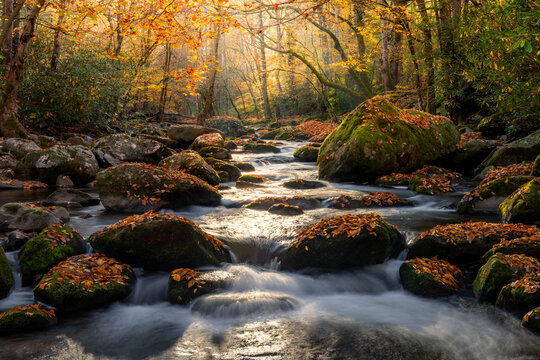 misty autumn stream, great smoky mountains