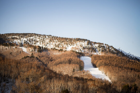 A ski slope at Shigakogen snow resort near Nagano, Japan.