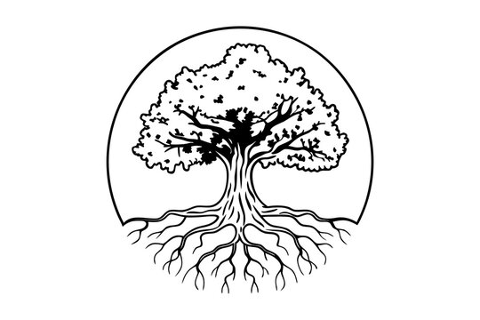 Illustration of a tree with deep roots inside a circle