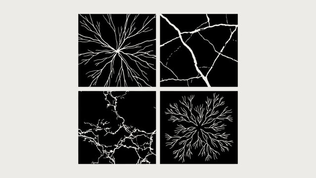 Fractured patterns showcase a white line vector illustration on a black background veins branching lineart graphic design abstract organic