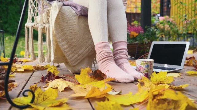 Autumn home office atmosphere with laptop, coffee, and playful cat. Cozy socks, golden leaves, and peaceful fall morning mood for remote work and creative inspiration.