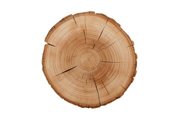 Fototapeta premium Round Wooden Log Cross Section