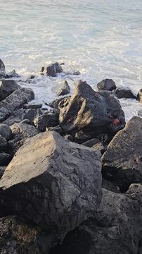 Galapagos Islands ocean shore with large rocks and distant sally lightfoot crabs vertical video.