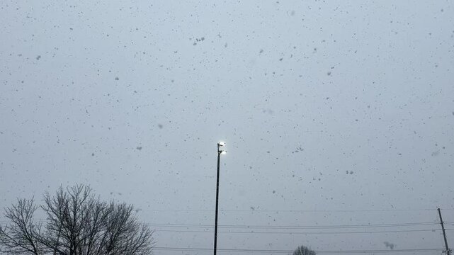 Snow storm against a gray sky with lit up street light
