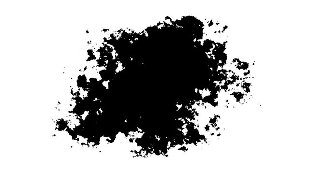 Artistic ink splatter splash effect, stroke shape black ink splattering flowing and washing on white background, paint bleed Bloom expanding, 4k animation