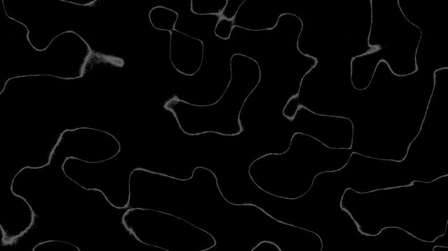 Abstract minimalist white curved lines on black background topographic wavy pattern for modern website header or digital wallpaper design.