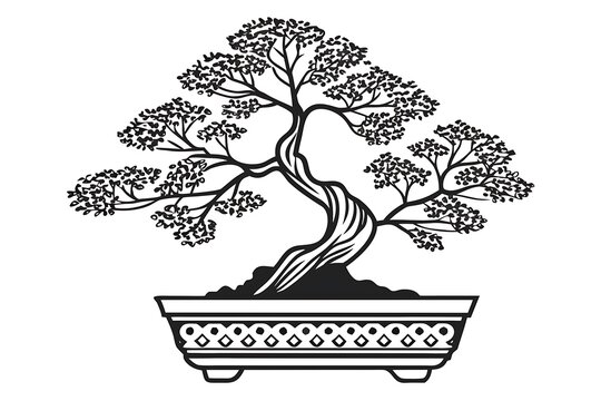 Beautiful bonsai tree in a decorative ceramic pot