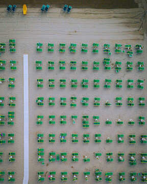Aerial view of rows of green sun loungers arranged on the sandy beach of Senigallia, Marche, Italy.