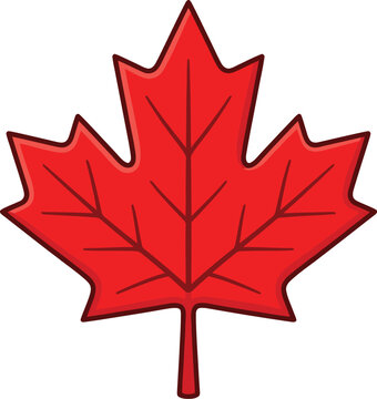 A vibrant and detailed vector illustration of a single bright red canadian maple leaf symbolizing autumn fall foliage and the beauty of nature's