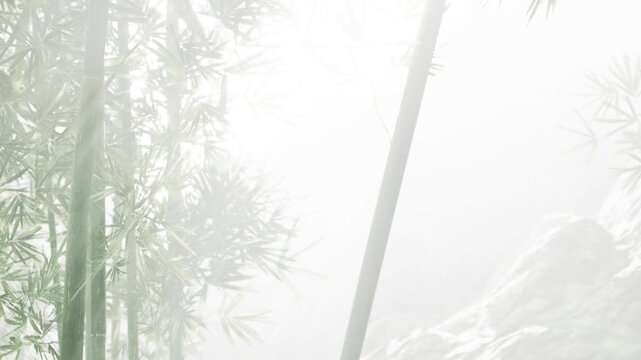 A bamboo forest is seen with mist covering the ground. Sunlight filters through the bamboo leaves. The scene feels fresh and is quiet. The rocks are partly visible in the background.