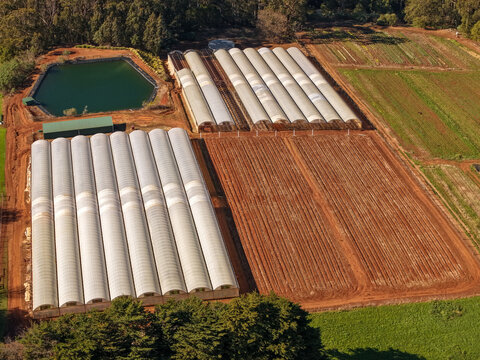Aerial view of The Tulip Garden Nursery Pty Ltd featuring rows of greenhouses, cultivated fields, and a reservoir in Silvan, Victoria, Australia.