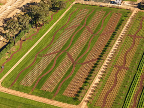 Aerial view of The Tulip Garden Nursery Pty Ltd featuring rows of young plants and curved walking paths set within a rural landscape in Silvan, Victoria, Australia.