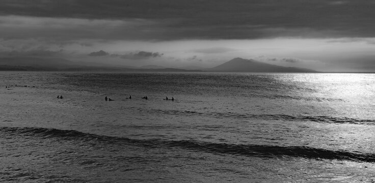 Surfers waiting for the last wave