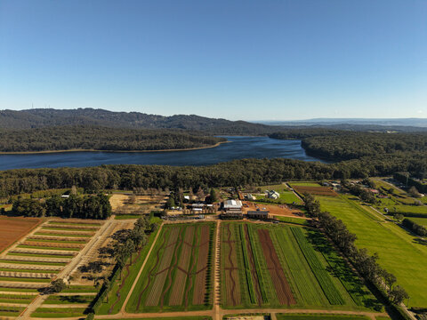 Aerial view of The Tulip Garden Nursery Pty Ltd featuring organized crop rows, lush green fields, and a large reservoir surrounded by dense forest in Silvan, Victoria, Australia.
