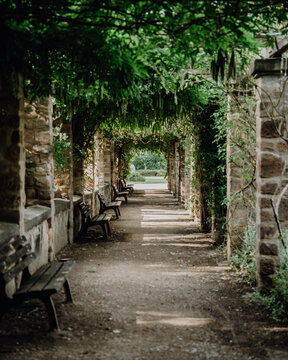road in the park