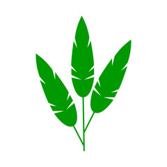 Fototapeta premium Green leaf vector icon. botany illustration sign . ecology symbol. eco sign.