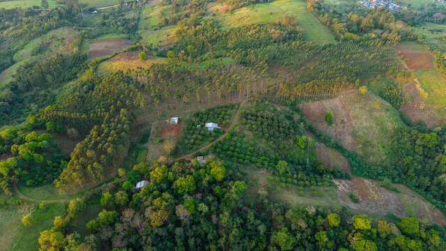 Aerial view of rolling hills and agricultural fields with scattered houses, dirt paths, and lush forest patches in the rural landscape of Nueva Alborada, Itapua Department, Paraguay.