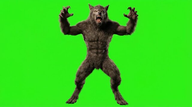 Werewolf monster standing on a green screen background, chroma key