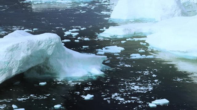 A group of large icebergs float in dark water during bright sunlight. The scene shows the contrast between the ice and the waters surface. It captures the natural world in a remote area.
