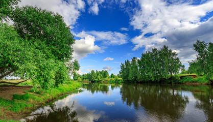 Fototapeta premium Serene river surrounded by vibrant green trees under sunny sky with cloud reflec
