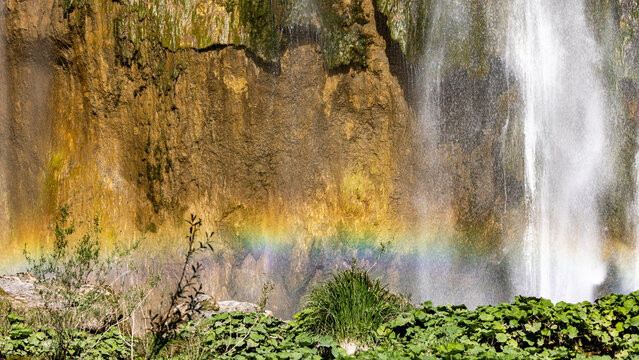 The rainbow