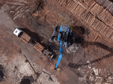 Aerial view of a blue forestry machine loading logs onto a truck at a timber yard in Gdansk, Poland.