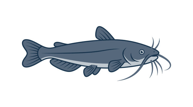 Blue catfish illustration with barbels a stylized aquatic creature