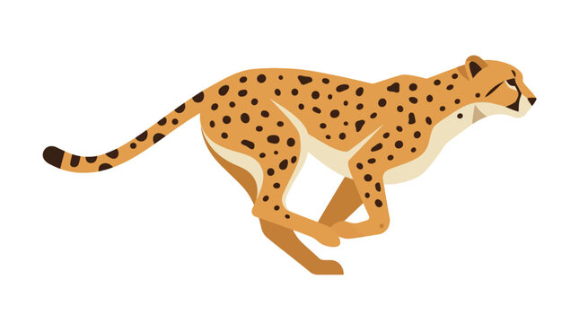A running cheetah is depicted in a flat vector illustration style