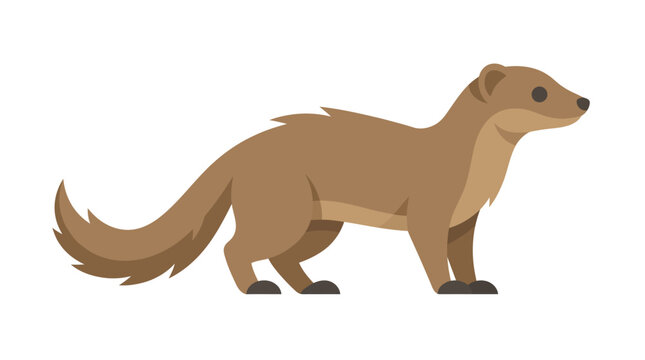 Brown weasel illustration on a white background side view