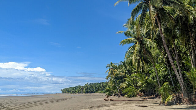 Beach of Costa Rica 1