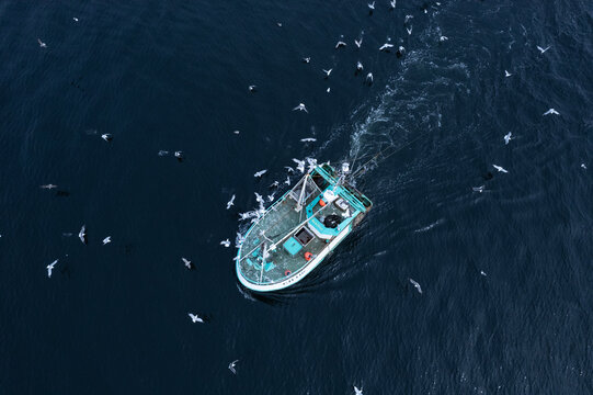 Northern Ireland, United Kingdom - 27 July 2022: Aerial view of a fishing boat navigating dark waters surrounded by a large flock of seagulls.