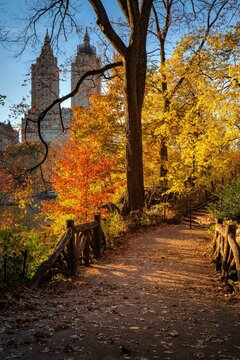 UNITED STATES, NEW YORK, MANHATTAN. CENTRAL PARK IN FALL COLORS. WALKING PATH IN THE RAMBLE UPPER WEST SIDE WITH THE SAN REMO APARTMENTS IN THE BACKGROUND