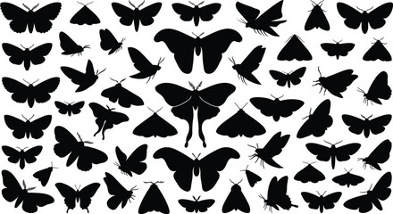 Black silhouette vector collection of moths and butterflies with diverse wing shapes and styles © MDMILON