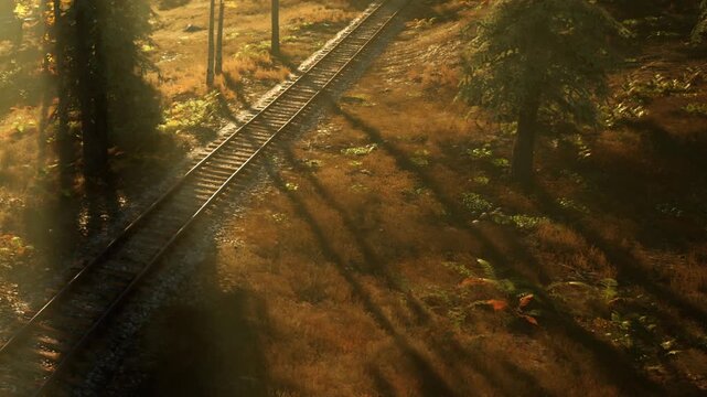 Train tracks stretch into the distance, surrounded by vibrant greenery and warm sunlight. A tranquil scene captures the beauty of nature and the allure of adventure awaiting beyond the trees.