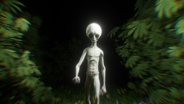 Glowing pale alien figure standing among dense cannabis plants in a dark forest, combining extraterrestrial fantasy with marijuana culture, surreal nature and psychedelic themes for herbal concepts
