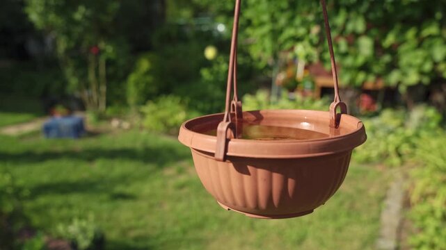 Bird watering bowl hanging in a garden to provide hydration for wild birds   4K footage.