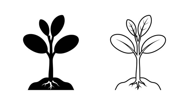 Seedling silhouettes with root systems on a white background
